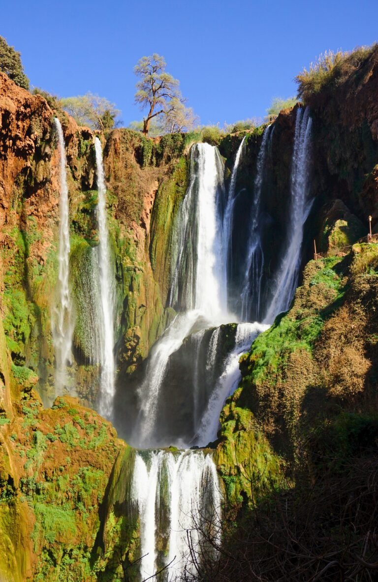 Day trip to Ouzoud from Marrakech - 1 giorno a Ouzoud-Excursión de un día a Ouzoud- tours in all morocco