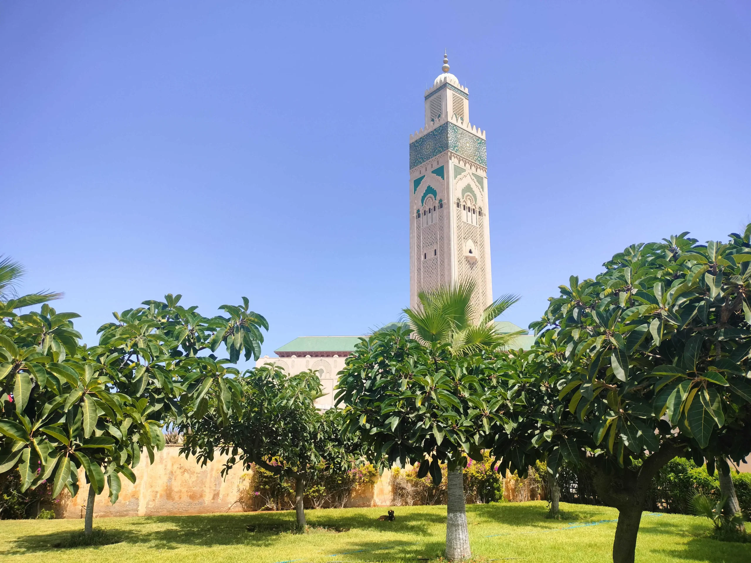 14 Days Morocco Grand Tour,14 days Morocco grand tour from Casablanca,2 week morocco itinerary,family friendly morocco grand tour,casablanca to marrakech 14 day tour,Casablanca 14 Day Morocco Itinerary,14 Days Tour From Casablanca To Fes,14 Days Tour From Casablanca,Private 14 Days Tour From Casablanca,14 Days Morocco Tour Itinerary,family-friendly Morocco grand tour,14-day grand tour,Casablanca 14-day grand tour,private luxury 14 Days Morocco tour,14 Days Tour,Morocco Tour 14 Day from Casablanca,14 days,14-day Morocco tour,14-day grand tour package,14-day Morocco tour itinerary,14-day journey - Morocco Smile trip Garden Near Hassan 2 - 14 days Morocco Grand tour-Morocco Smile trip