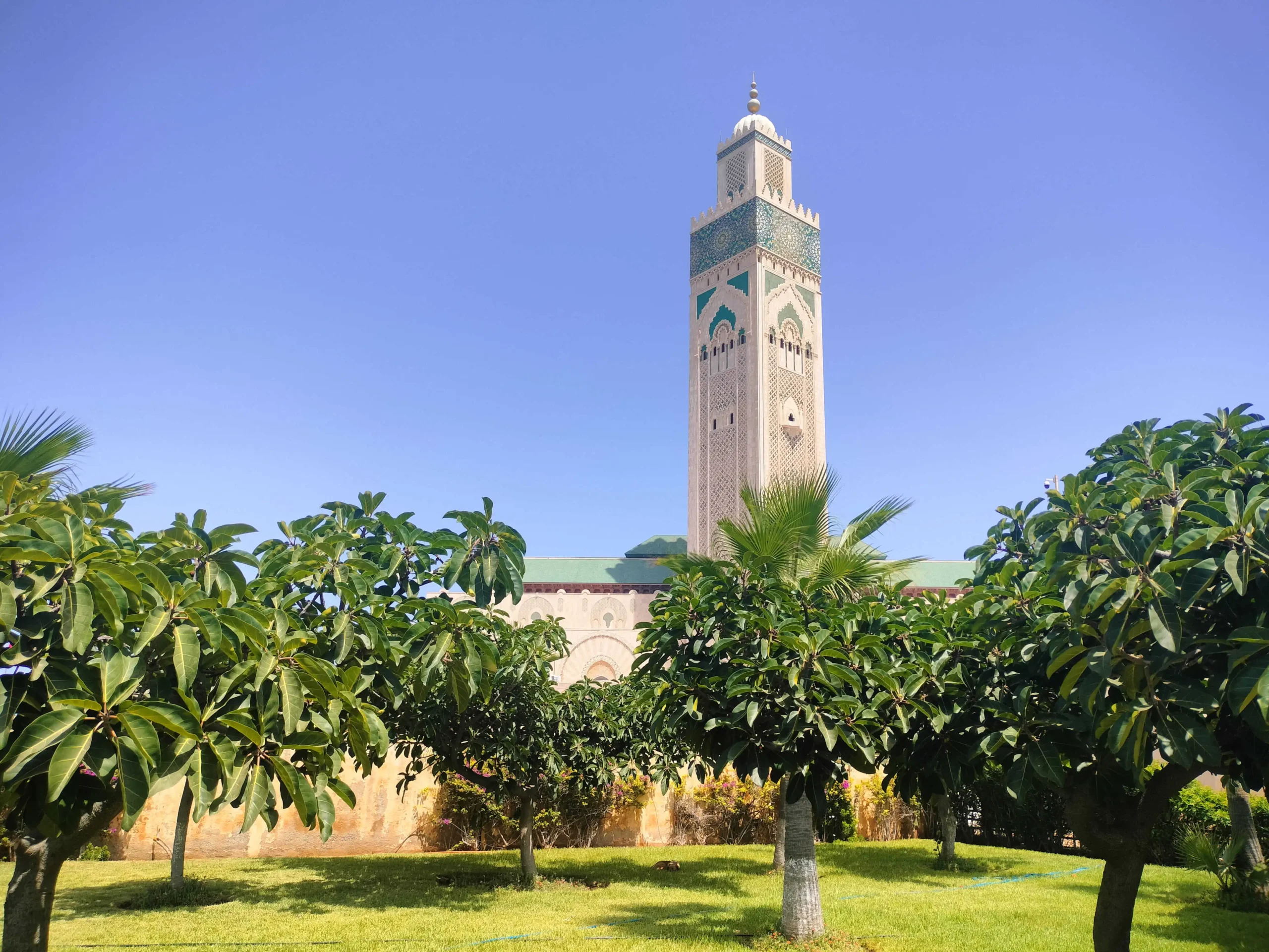 Hassan 2 Casablanca -2 Days Chefchaouen Tour from Casablanca- Morocco Smile Trip