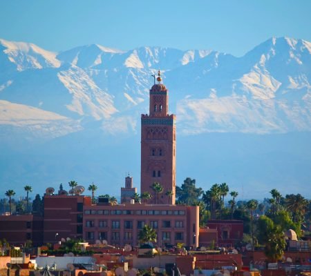 5a441762-924c-4447-8221-18ce9f708535