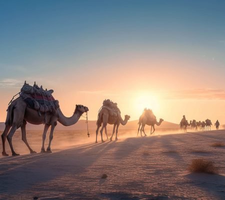 Camel Trekking in Sahara desert- 9 giorni da Fes a Casablanca- tour 9 días fez a casablanca - Morocco itinerary 9 days from Casablanca-tours in all morocco
